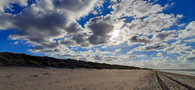 Renesse