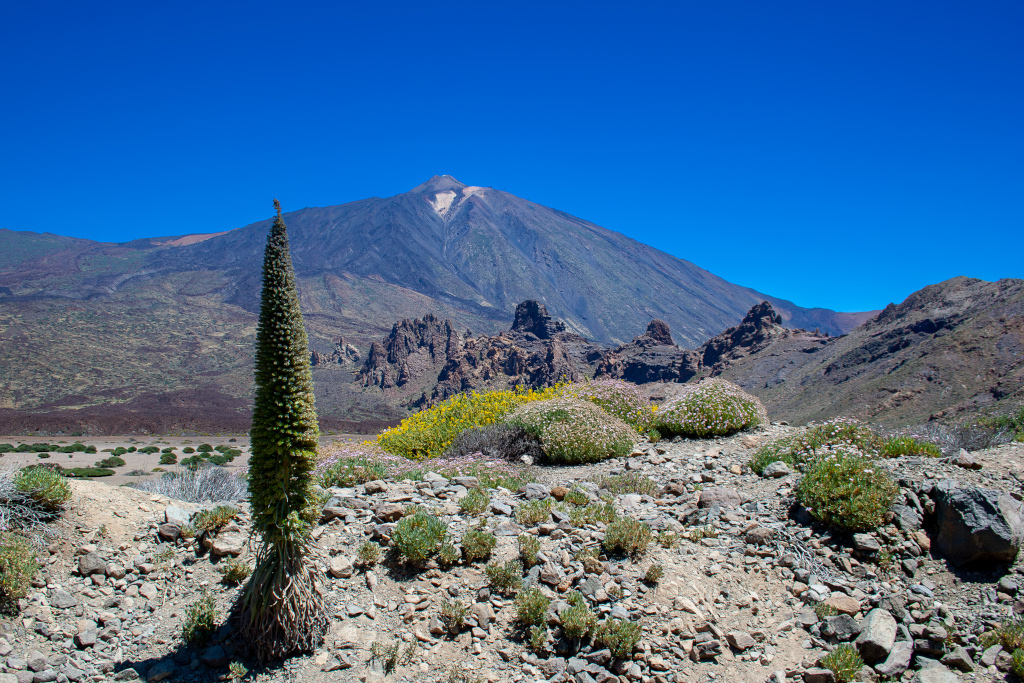Teneriffa